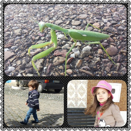 PhotoGrid_1446987908567.jpg
