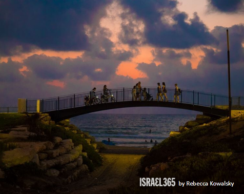 ISRAEL 71 Ponte II.png