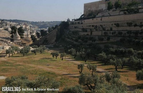 Israel 45.jpg Israel 45.jpg