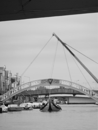 DSCF7080.JPG DSCF7080.JPG