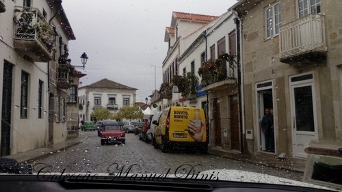 IMG_20151010_111713.jpg