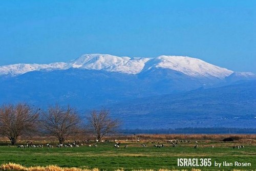Israel 43.jpg