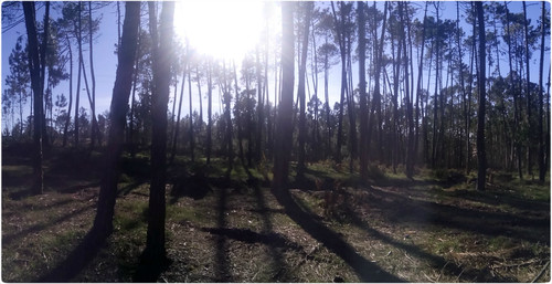 foto 2.jpg foto 2.jpg