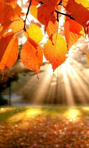 foto raio de sol.jpg foto raio de sol.jpg