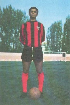 71-72-pavão.JPG 71-72-pavão.JPG