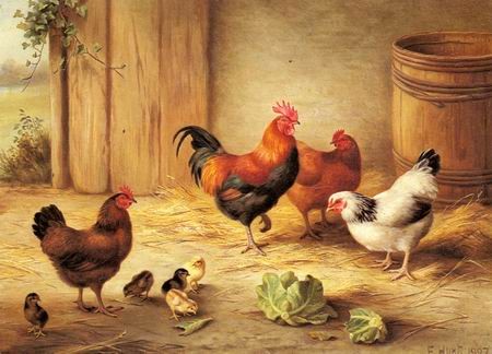 chickens-in-a-barnyard.jpg