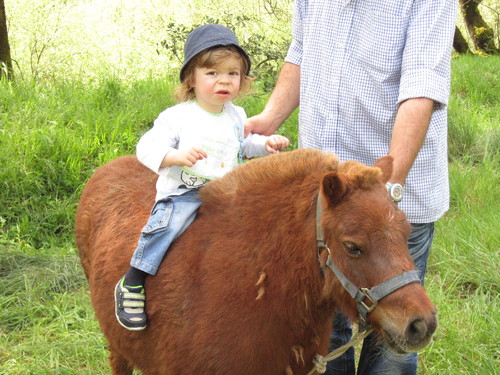 IMG_4100.JPG