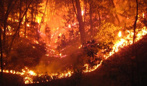 incendio_SAPO3.jpg incendio_SAPO3.jpg