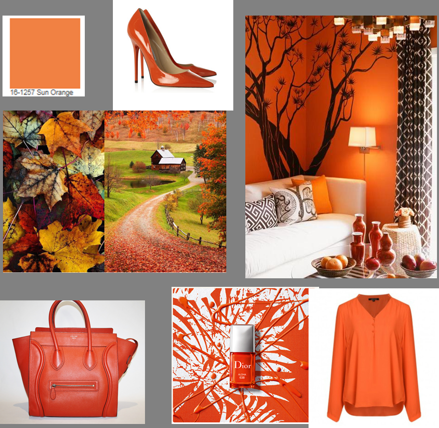pantone 16 1257 sun orange.png pantone 16 1257 sun orange.png