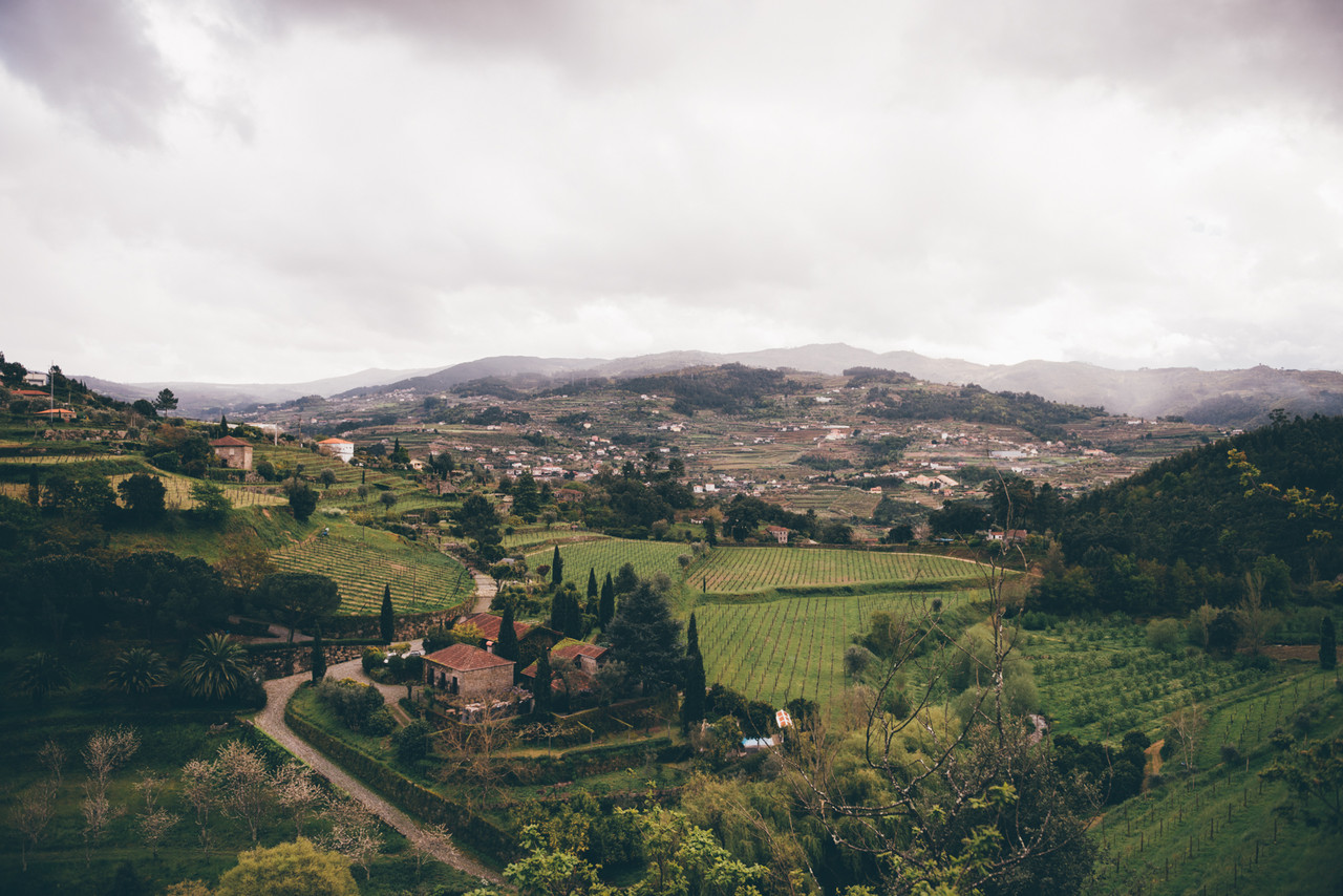 douro_SP_001.jpg douro_SP_001.jpg