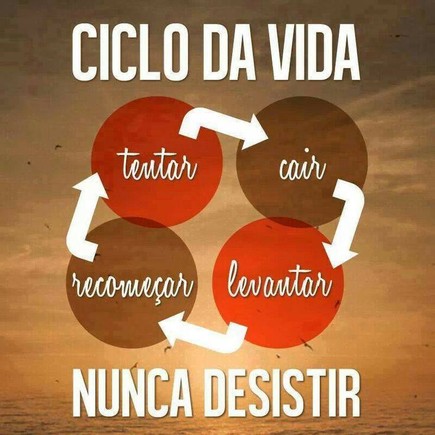 ciclodavida.jpg