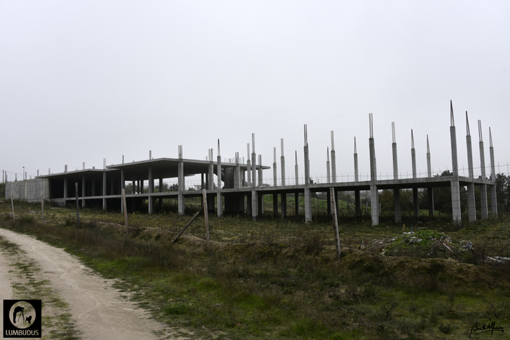 _D750153.JPG _D750153.JPG