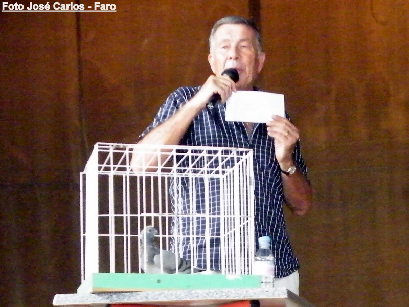 Leilão Luz Tavira 2015 026.JPG Leilão Luz Tavira 2015 026.JPG